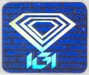 IGI Logo